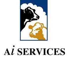 AI Services