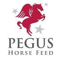 Pegus Horse Feed