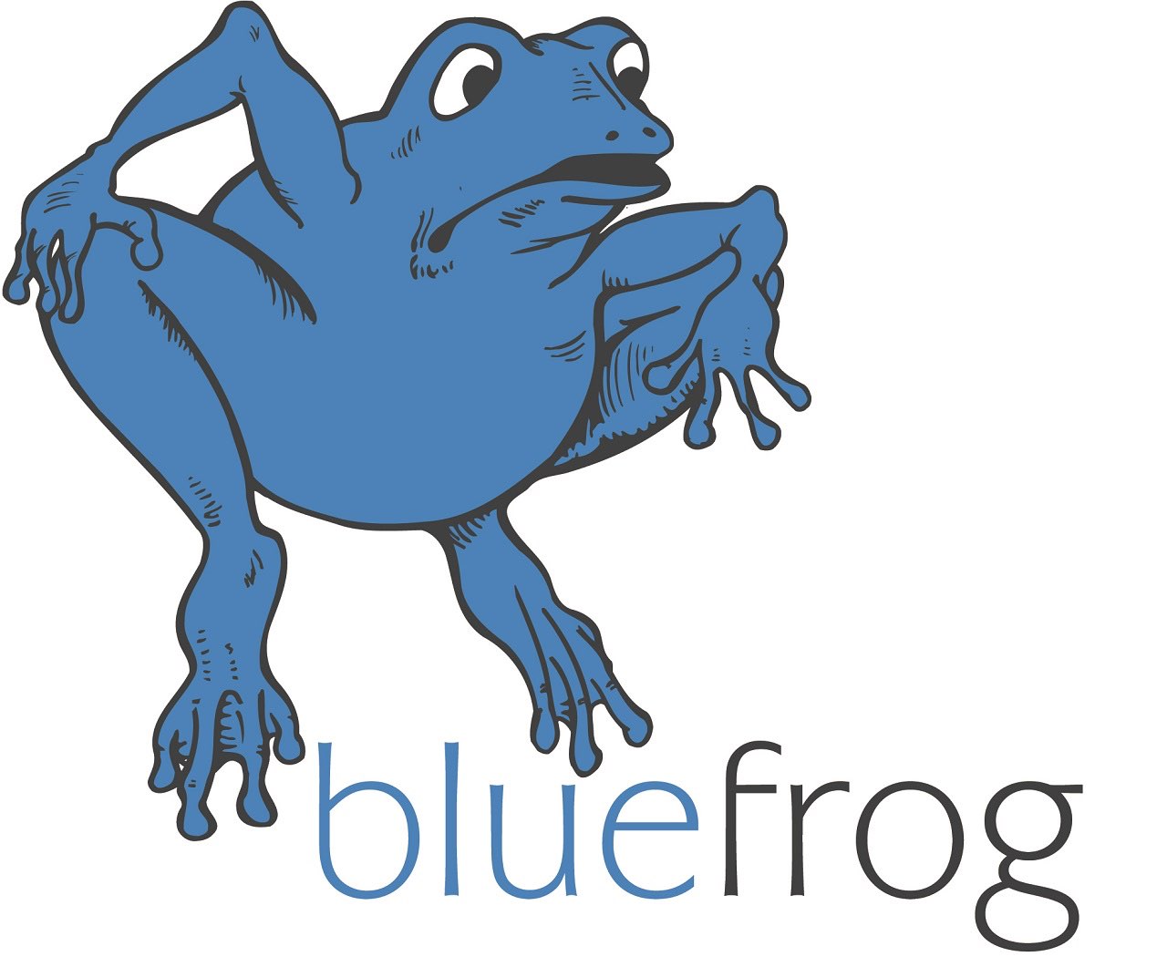 Bluefrog (Boyd Bedding)