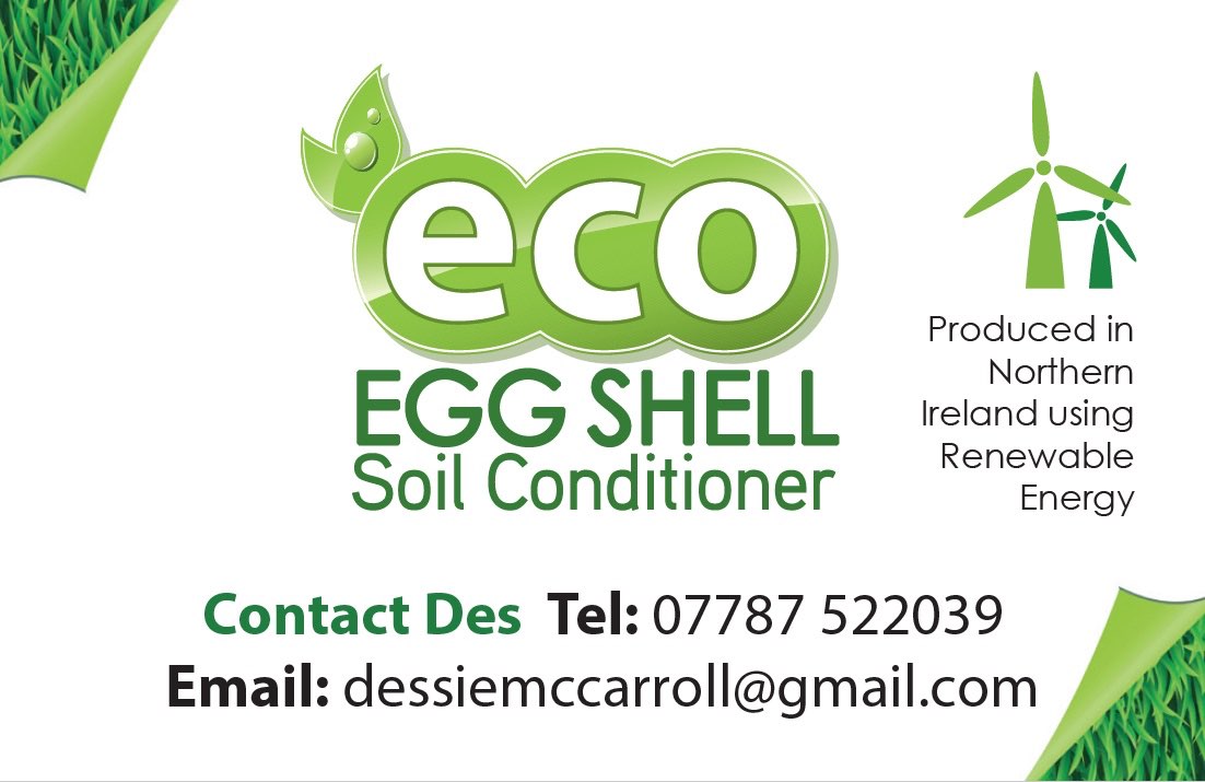 Eco Egg Shell