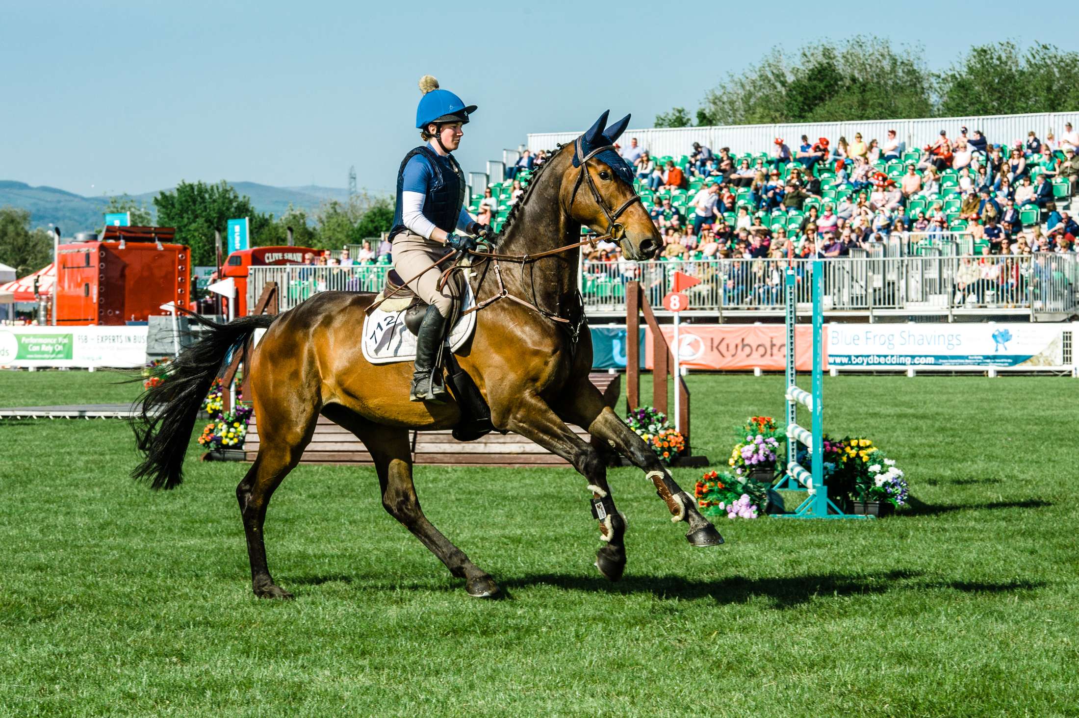 Horses competing 
