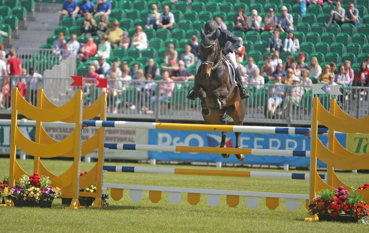 national-show-jumping.jpeg