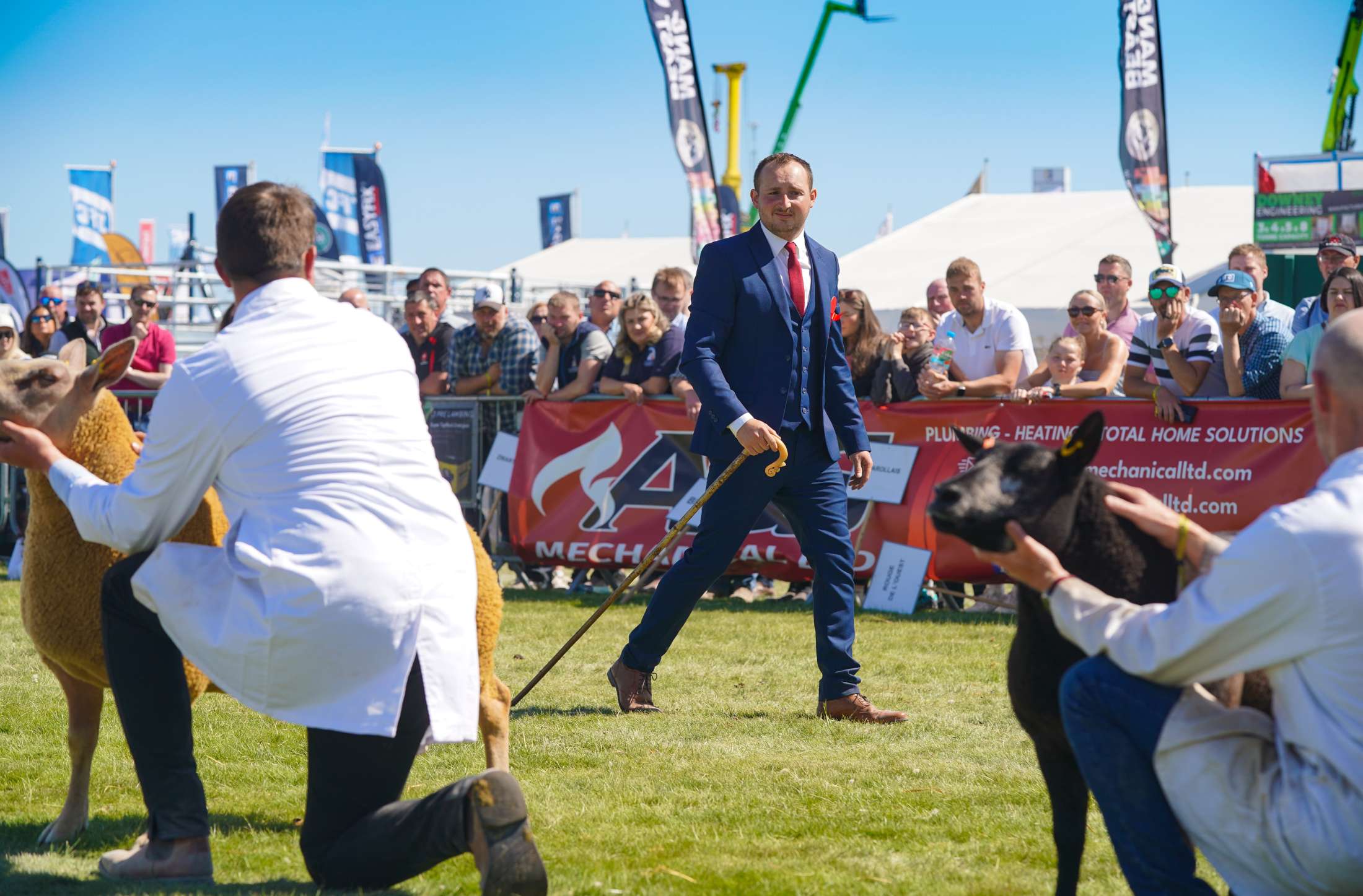 Judges Announced for 157th Balmoral Show 