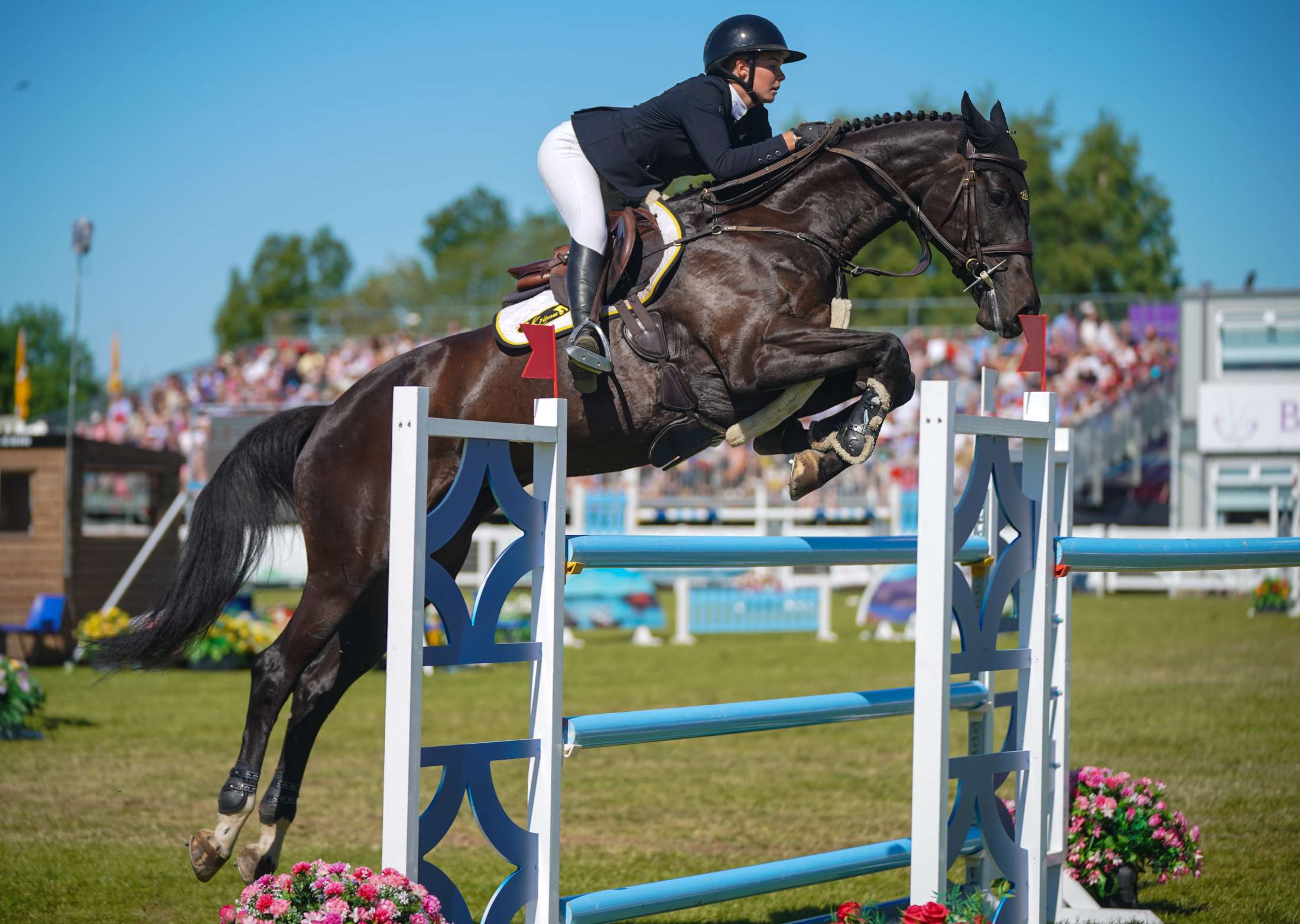 news-bs25-captivating-show-jumping.jpg